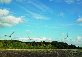Windräder vor blauem Himmel am Rande eines Waldes. Foto: Mittwollen und Gradetchliev