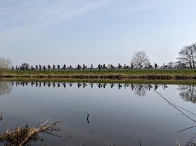 Die Klasse 5e der IGS Kreyenbrück sammelt Kilometer bei einem Fahrradausflug. Bild: Henrike Gülker