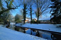 Oldenburger Schlossgarten. Foto: Hans-Jürgen Zietz