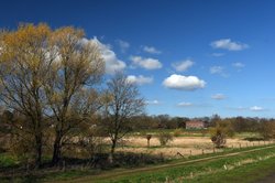 Vorfrühling im Landschaftsschutzgebiet Buschhagenniederung. Foto: Hans-Jürgen Zietz