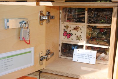 Holzbox mit Fächern mit Insektenmodellen. Quelle: Stadt Oldenburg