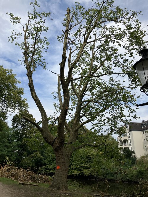 Foto: Stadt Oldenburg