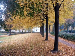 Herbstliches Oldenburg. Foto: Werner Fuhlrott 