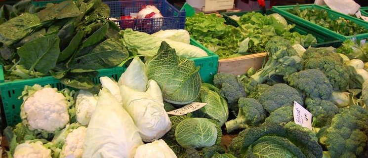 Verschiedene Kohlsorten in der Winterzeit. Foto: Stadt Oldenburg