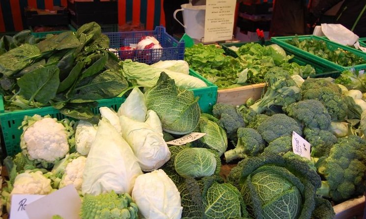 Verschiedene Kohlsorten in der Winterzeit. Foto: Stadt Oldenburg