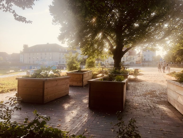 Hochbeete für das Urban Gardening im Morgendunst. Foto: Stadt Oldenburg