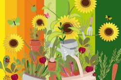 Logo der Stadtgärten 2022; Sonnenblumen, Gemüse und Arbeitsgerät vor sommerlichen Farben. Grafik: OTM