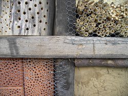 Nisthilfe. Foto: Kristin Böhm Nisthilfe. Foto: Kristin Böhm