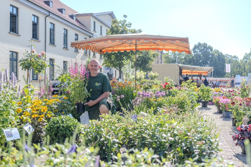 Blumen und Pflanzen auf dem Wochenmarkt auf dem Pferdemarkt. Foto: Sascha Stüber