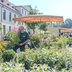 Vorschau: Blumen und Pflanzen auf dem Wochenmarkt auf dem Pferdemarkt. Foto: Sascha Stüber
