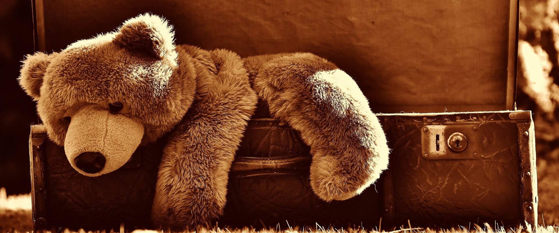 Brauner Teddy im Koffer. Foto: Alexas/Fotos/Pixabay
