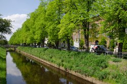 Fluss in Oldenburg. Foto: Peter Duddek