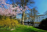 Frühlingsblüten im Schloßgarten. Foto: Hans-Jürgen Zietz.