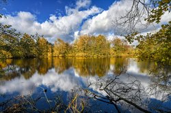 Buntes Herbstlaub am Bürgerfelder Teich in Oldenburg. Foto: Hans-Jürgen Zietz