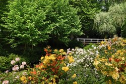 Frühsommer im Oldenburger Schlossgarten. Foto: Hans-Jürgen Zietz