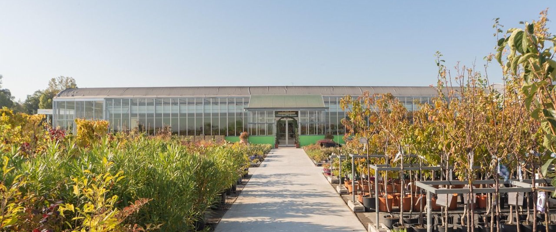 Baumschule: Kindergarten für Bäume und Sträucher. Foto: flordenny/pixabay