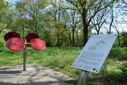 Ein Fitnessgerät mit Schautafel für Übungsanleitungen am Swarte-Moor-See. Foto: Stadt Oldenburg