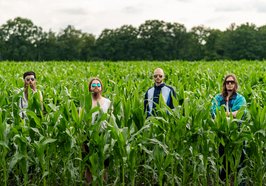 Die Band steht in einem Maisfeld. Foro: Das Bildungsbürgertum