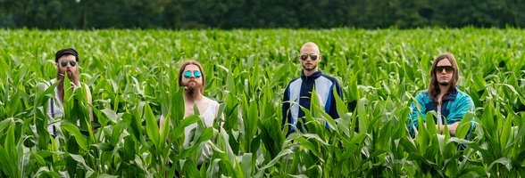 Die Band steht in einem Maisfeld. Foro: Das Bildungsbürgertum