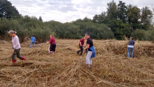 Die Untere Naturschutzbehörde, Landschaftswartin Renate Ponel und Frauen der JVA Vechta/Hildesheim haben in der Haarenniederung landschaftspflegerische Maßnahmen durchgeführt. Die Untere Naturschutzbehörde, Landschaftswartin Renate Ponel und Frauen der JVA Vechta/Hildesheim haben in der Haarenniederung landschaftspflegerische Maßnahmen durchgeführt.