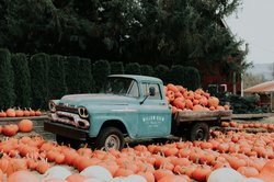 Altes Auto mit Kürbissen. Foto: priscilla-du-preez/unsplash