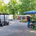 Vorschau: Blick über den Wochenmarkt in Bloherfelde. Foto: Sascha Stüber