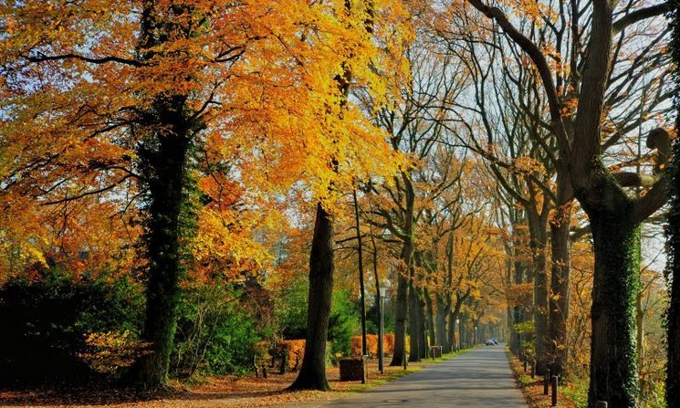 Herbst am Drögen-Hasen-Weg. Foto: Hans-Jürgen Zietz