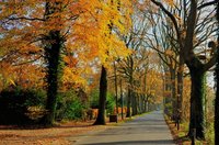 Drögen-Hasen-Weg. Foto: Hans-Jürgen Zietz