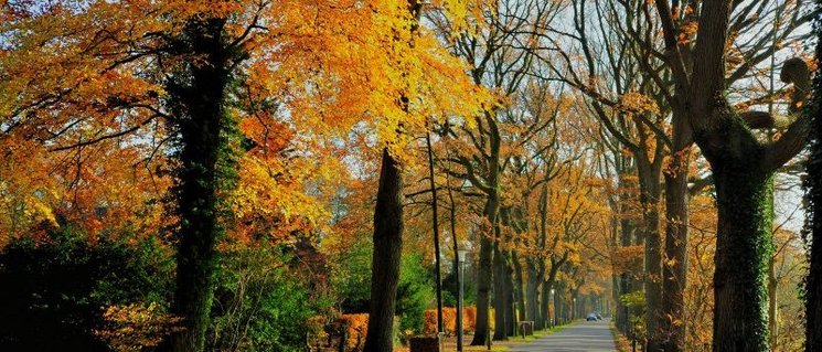 Herbst am Drögen-Hasen-Weg. Foto: Hans-Jürgen Zietz