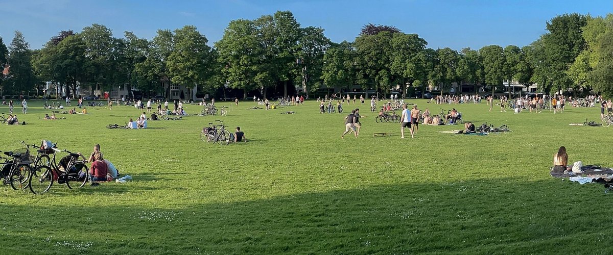 Gut genutzte Dobbenwiese im Juni 2021. Foto: Sascha Stüber
