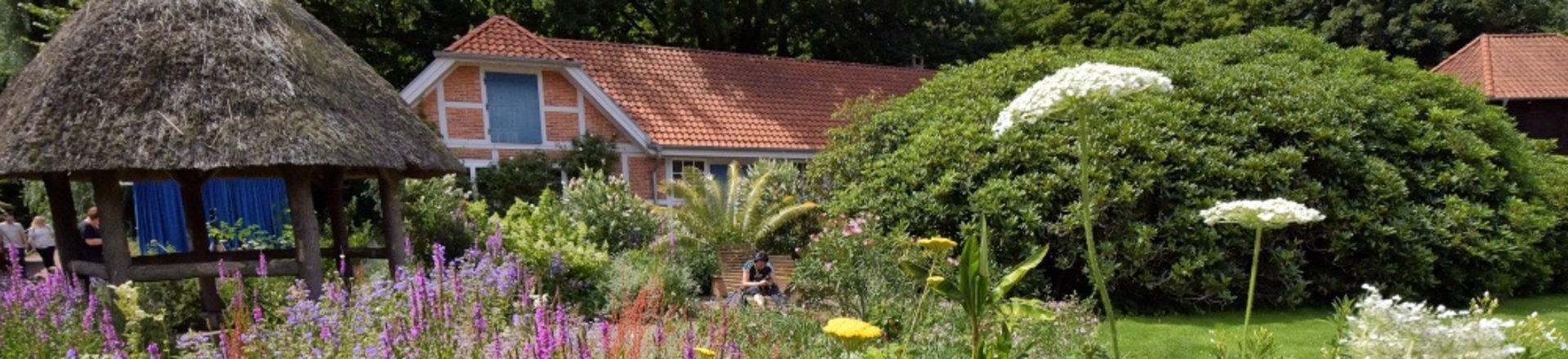 Bunte Sommer-Blüten im Oldenburger Schlossgarten. Foto: Hans-Jürgen Zietz 