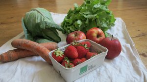 Auf dem Bild ist verschiedenes Obst und Gemüse. Mit Klick auf dem Bild geht es zu den Alltagstipps zum Themenbereich Ernährung. Foto: Stadt Oldenburg
