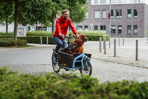 Foto: Mittwollen & Gradetchliev