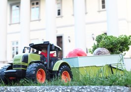In einen Spielzeug-Trecker wurde Gemüse eingeladen. Foto: Stadt Oldenburg
