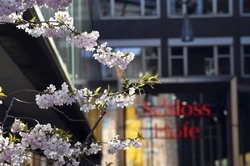 Frühlingsblüten an den Oldenburger Schlosshöfen. Foto: Hans-Jürgen Zietz