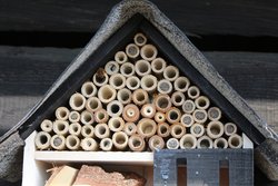 Nisthilfe für Bienen. Foto: Jutta Wuellner/Pixabay