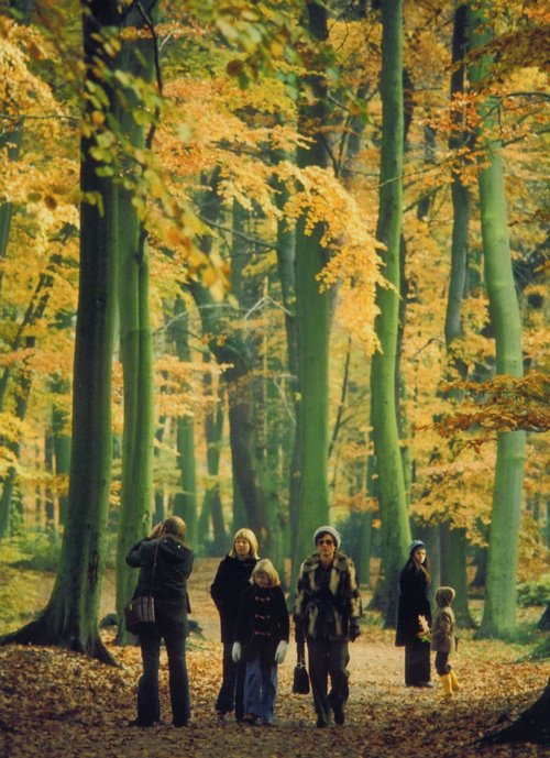 Foto: Stadtmuseum Oldenburg/ Peter Kreier