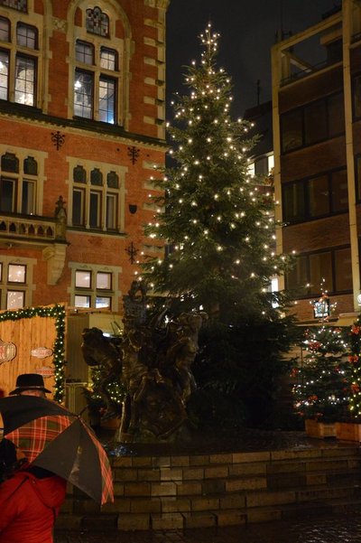 Beleuchtete Tanne auf dem Rathausmarkt. Foto: Stadt Oldenburg