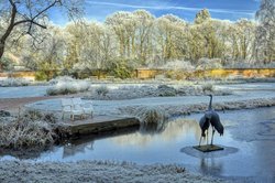Weihnachtlicher Wintertag im Oldenburger Schlossgarten. Foto: Hans-Jürgen Zietz