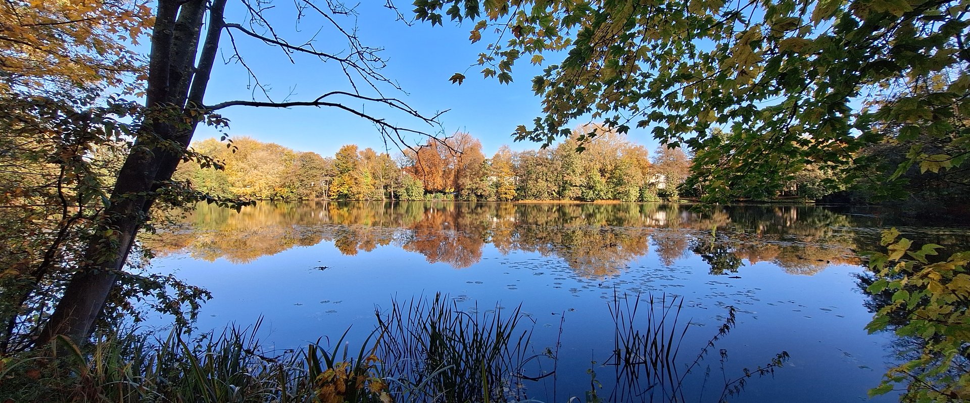 Dobbenteich im Herbst. Foto: Stadt Oldenburg