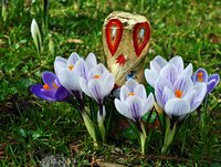 Ostern im Schlossgarten. Foto: Hans-Jürgen Zietz