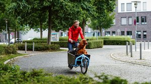Auf dem Bild ist ein Hund in einem Lastenrad. Mit Klick auf dem Bild geht es zu den Alltagstipps zum Themenbereich Mobilität. Foto: Mittwollen und Gradetchliev