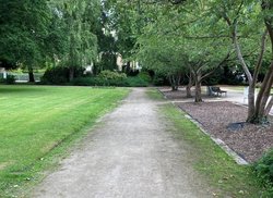Die Wege auf dem Cäcilienplatz. Foto: Stadt Oldenburg Die Wege auf dem Cäcilienplatz. Foto: Stadt Oldenburg