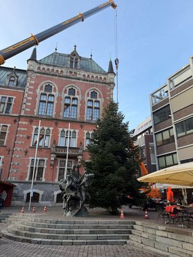 Mitarbeitende des Teams Stadtgrünpflege stellen den Weihnachtsbaum am Alten Rathaus am 10. November 2025 auf. Foto: Stadt Oldenburg