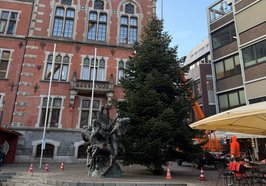 Mitarbeitende des Teams Stadtgrünpflege stellen den Weihnachtsbaum am Alten Rathaus am 10. November 2025 auf. Foto: Stadt Oldenburg