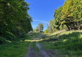 Blick auf das Gelände des ehemaligen Schießstandes. Foto: Stadt Oldenburg