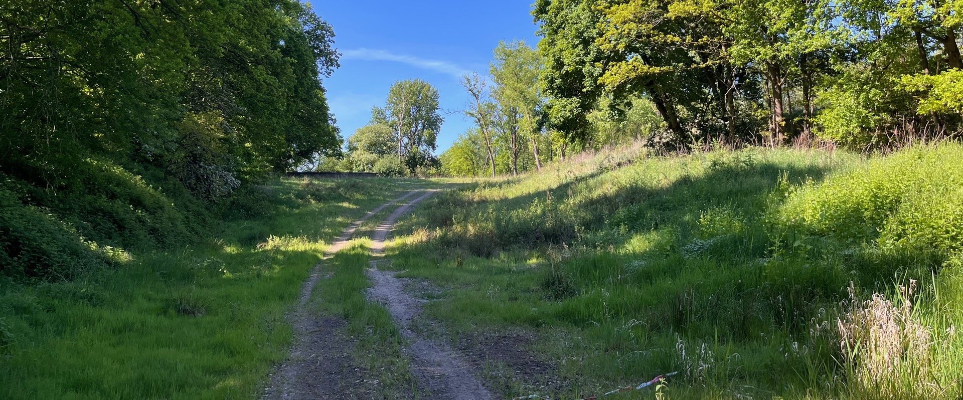 Blick auf das Gelände des ehemaligen Schießstandes. Foto: Stadt Oldenburg