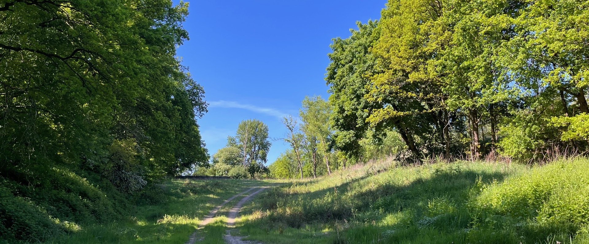 Blick auf das Gelände des ehemaligen Schießstandes. Foto: Stadt Oldenburg