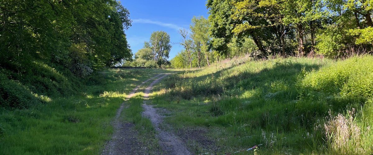 Blick auf das Gelände des ehemaligen Schießstandes. Foto: Stadt Oldenburg