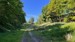 Blick auf das Gelände des ehemaligen Schießstandes. Foto: Stadt Oldenburg